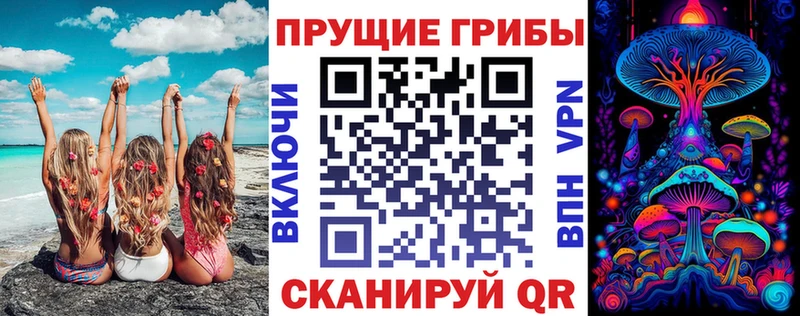 цена наркотик  Гдов  Галлюциногенные грибы MAGIC MUSHROOMS 