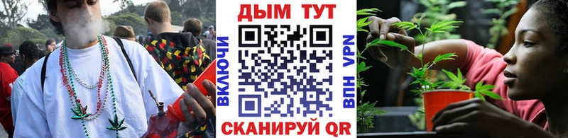 Бошки Шишки конопля  площадка состав  Гдов 